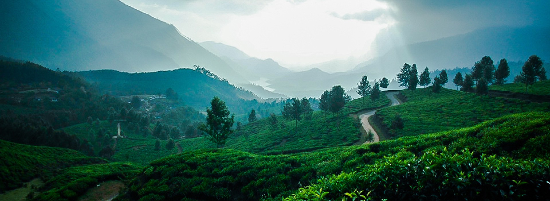 Munnar