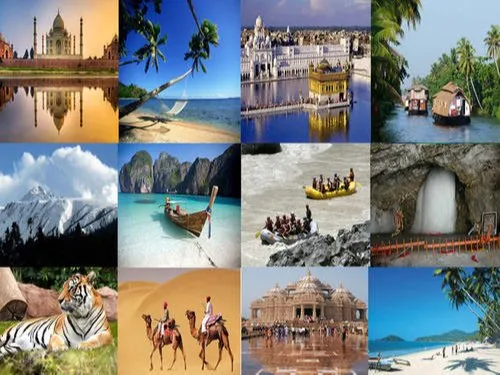 Domestic Tours