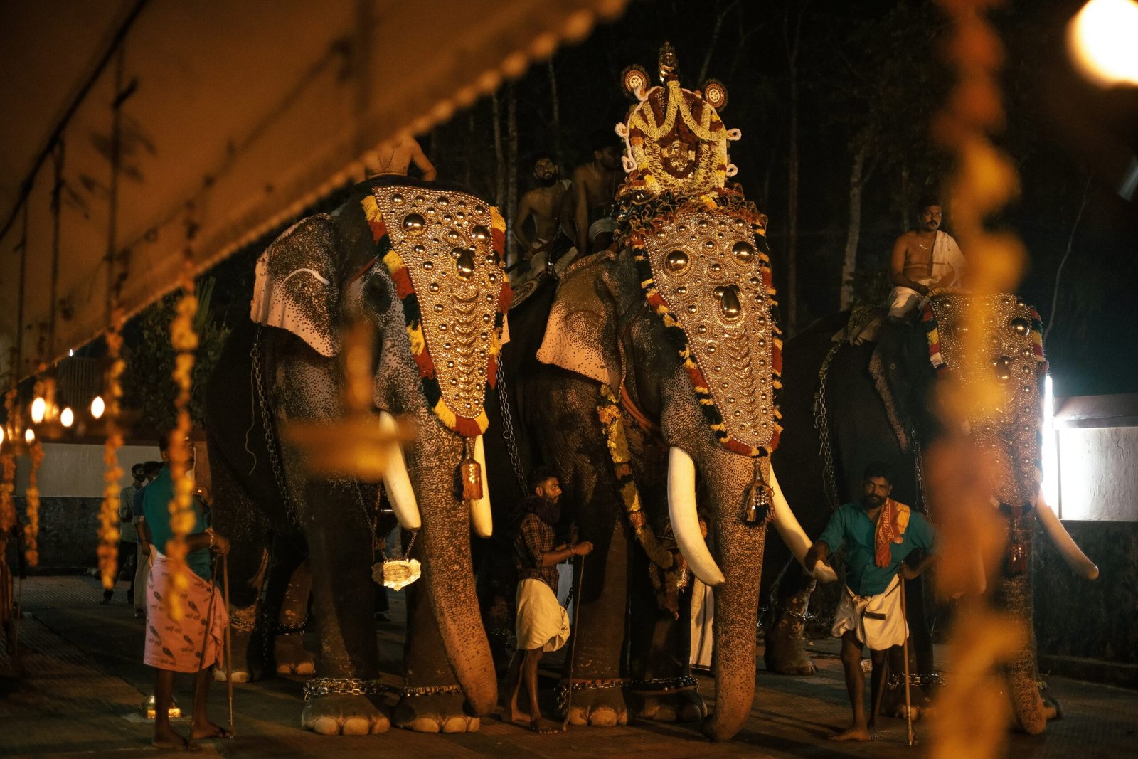 ajin-k-s-0tuzOfs-T3s-unsplash