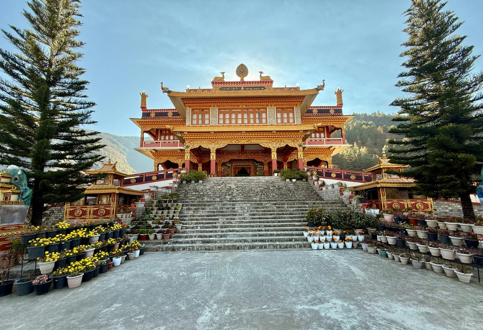 nagarjun-parthasarathy-Vm4FK5GGo9Q-unsplash