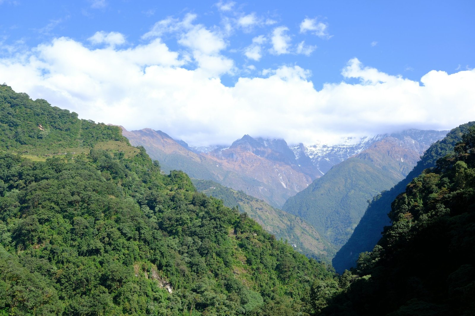 walter-coppola-sW4NEp4m-Wg-unsplash